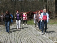 Uczestnicy wyjazdu na szlaku turystyki pieszej na terenie Borów Tucholskich.