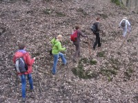 Uczestnicy wyjazdu na szlaku turystyki pieszej na terenie Borów Tucholskich.