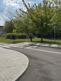 Remont drogi w Dźwierznie