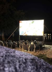Kino w Zalesiu