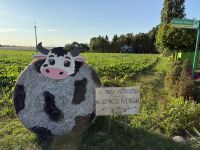 Dożynki Gminne - Brąchnówko 2025