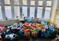 Mecz piłki nożnej 'W nogę dla łap"