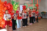 Kluby Młodzieżowe Gminy Chełmża