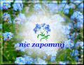 Święto przyrody w… Kiełbasinie