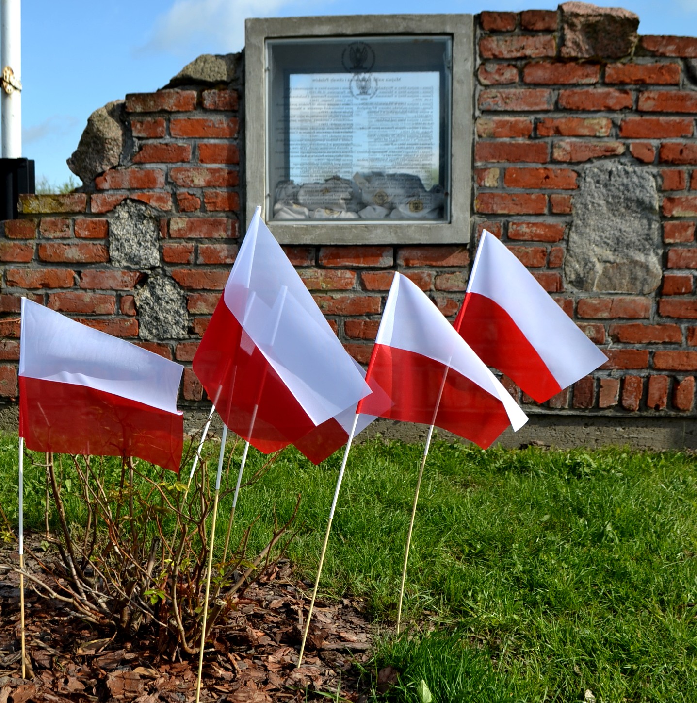 ZNAMY NASZE SYMBOLE NARODOWE