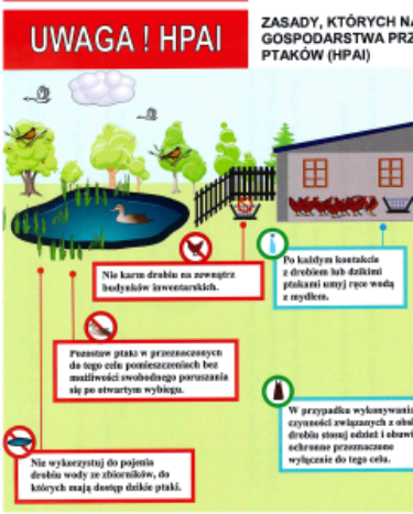UWAGA HODOWCY DROBIU PRZYZAGRODOWEGO