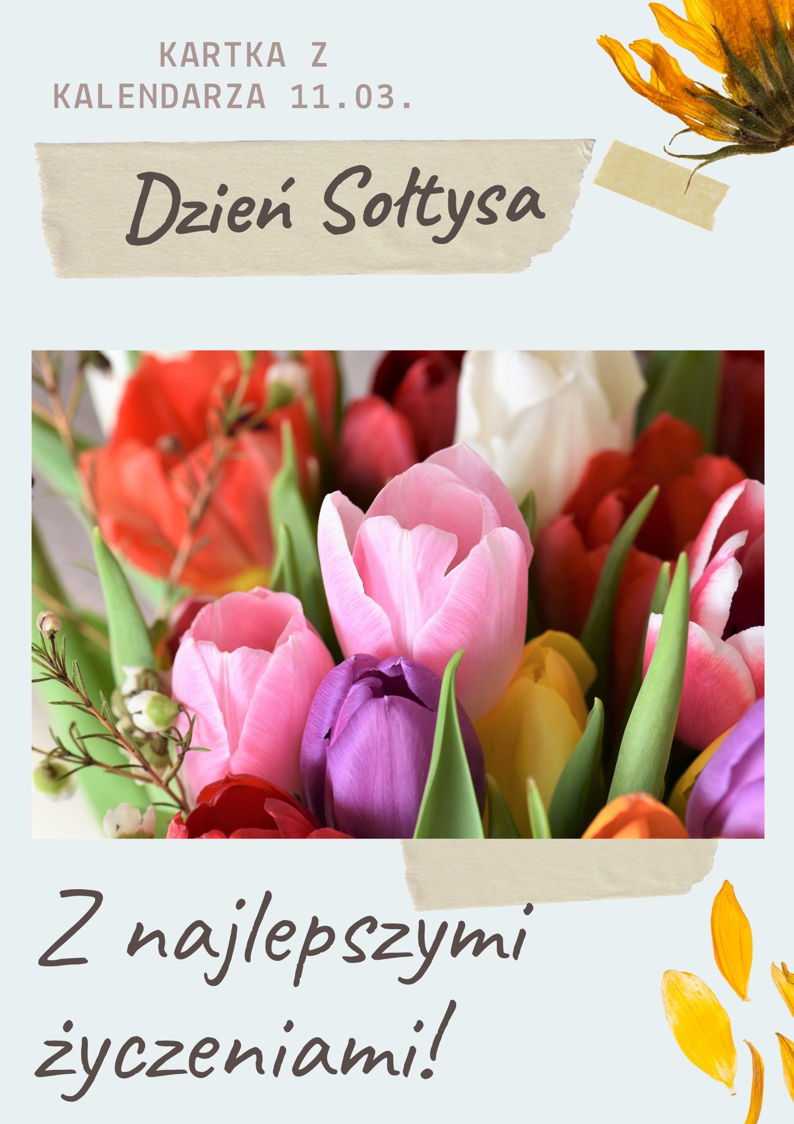 DZIEŃ SOŁTYSA