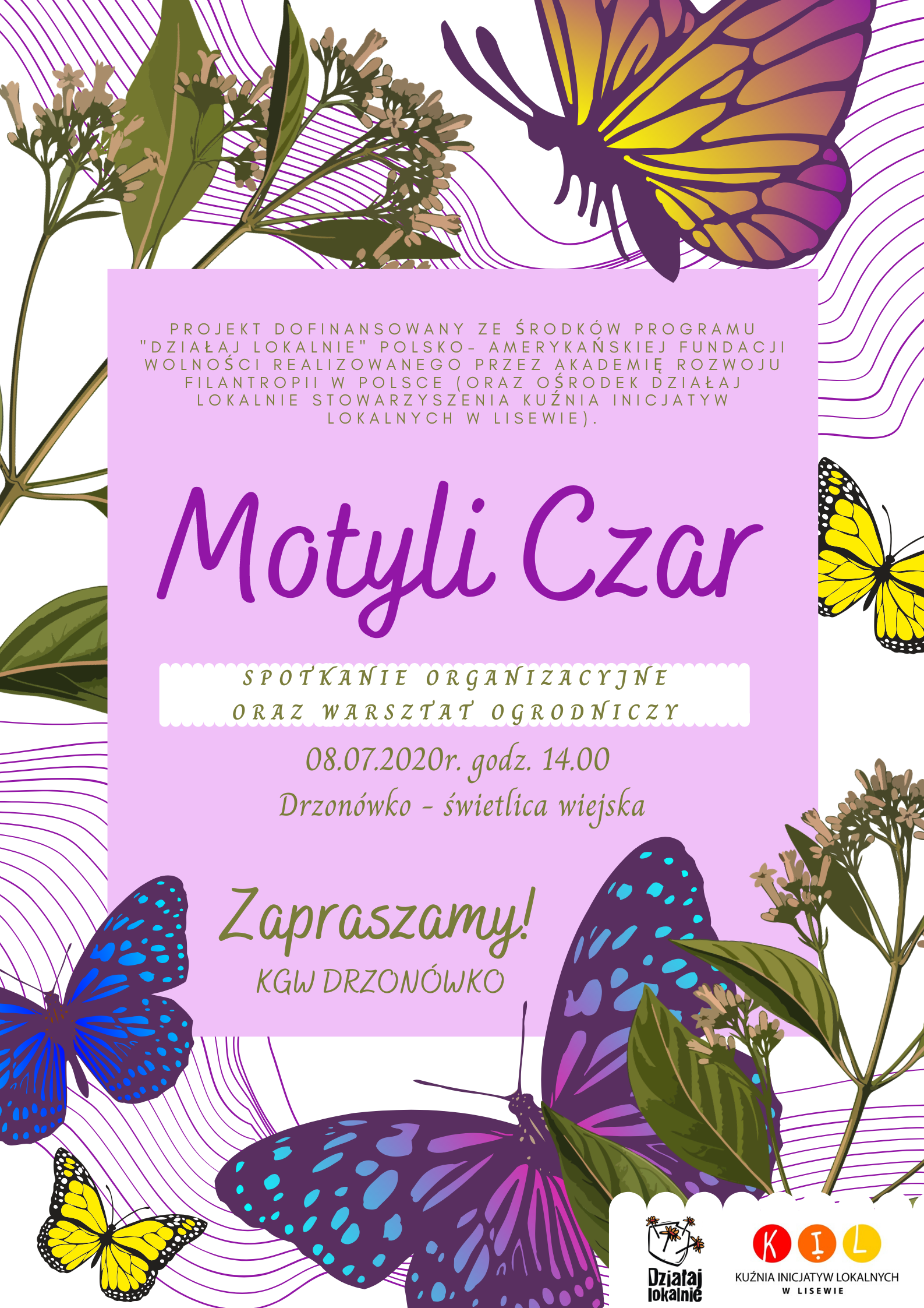 MOTYLI CZAR ... w DRZONÓWKU