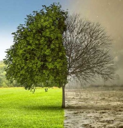Dotacje na wymiane źródeł ciepła, instalacje solarne oraz oczyszczalni przyzagrodowych