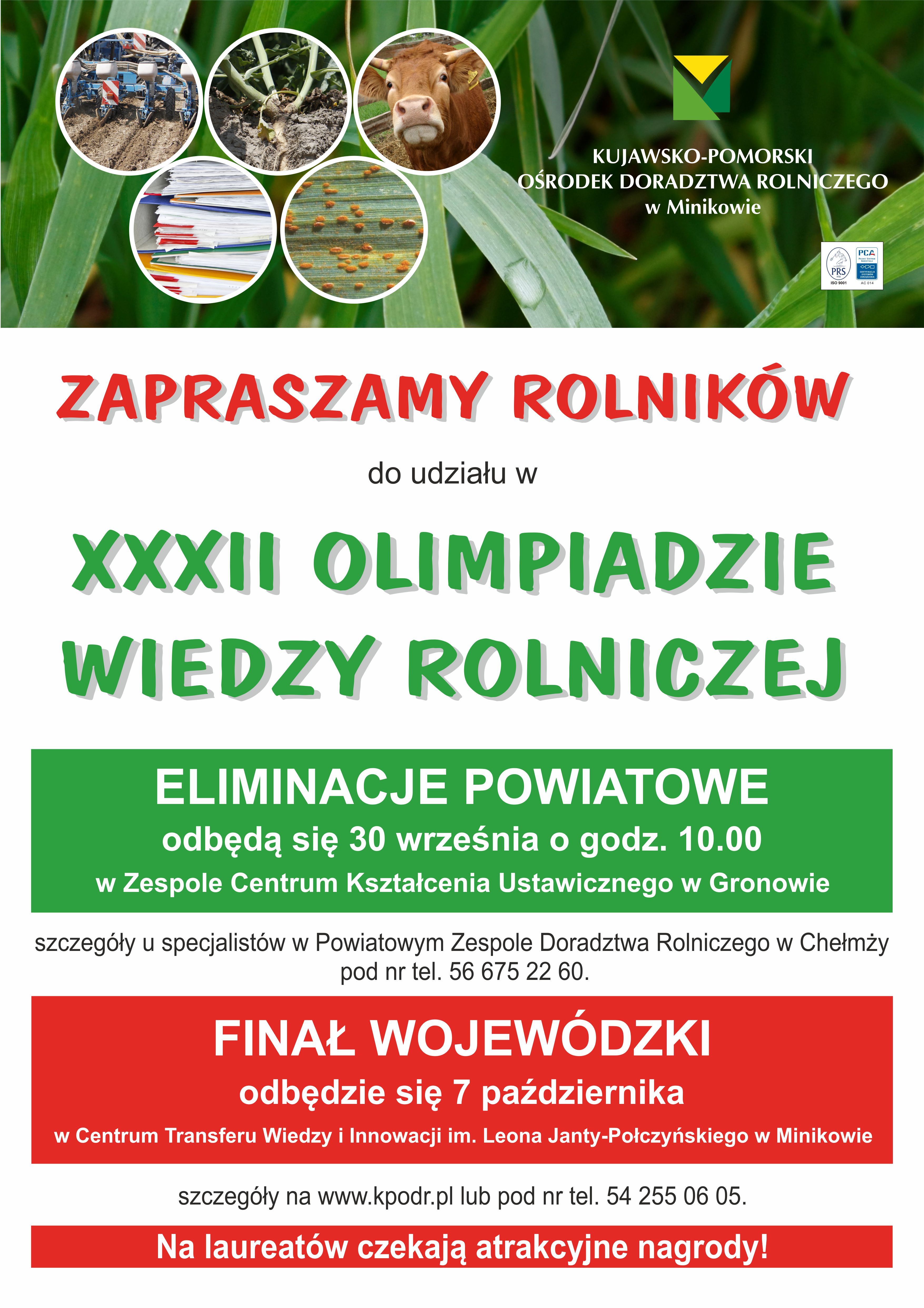 SPRAWDZĄ SWOJĄ WIEDZĘ