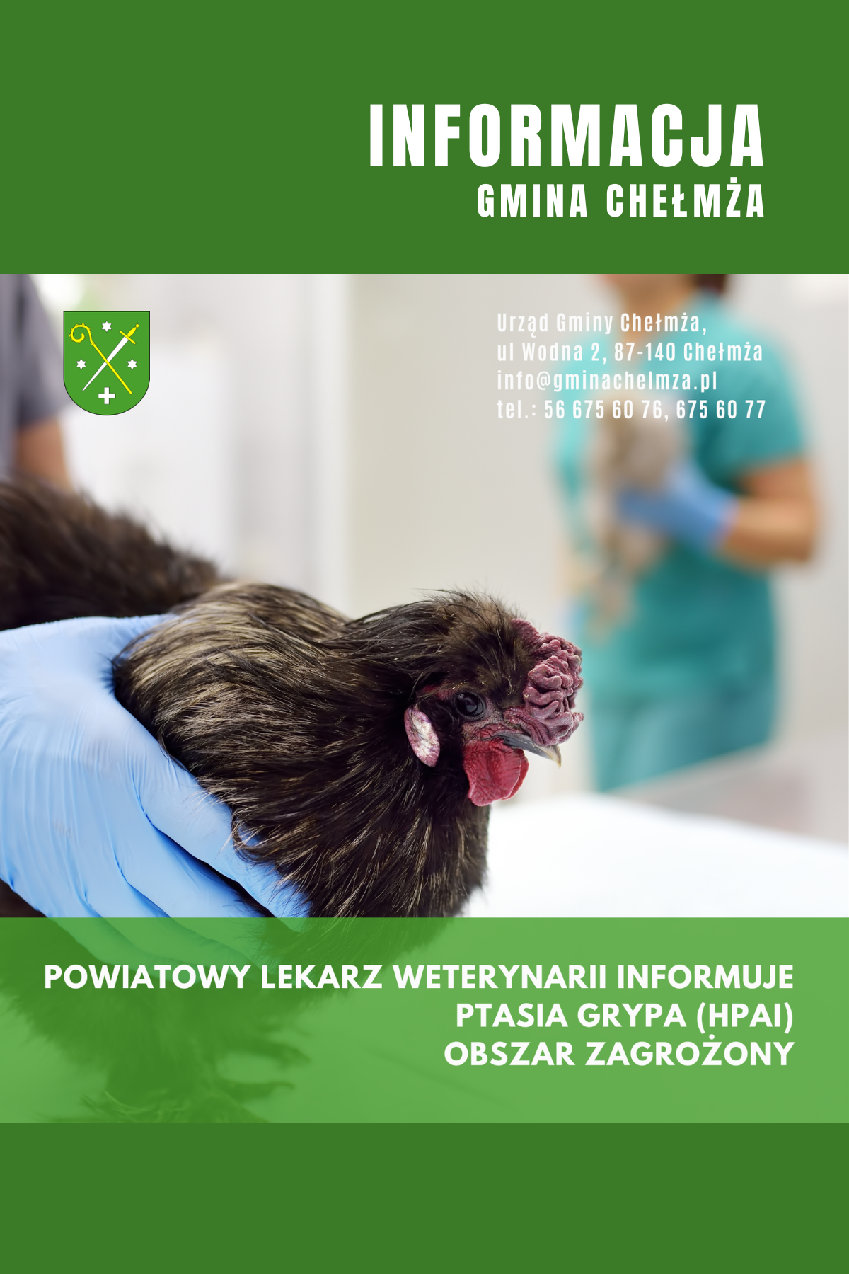 Ptasia grypa – obszar zagrożony!