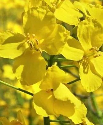 Nabór wniosków o oszacowanie szkód