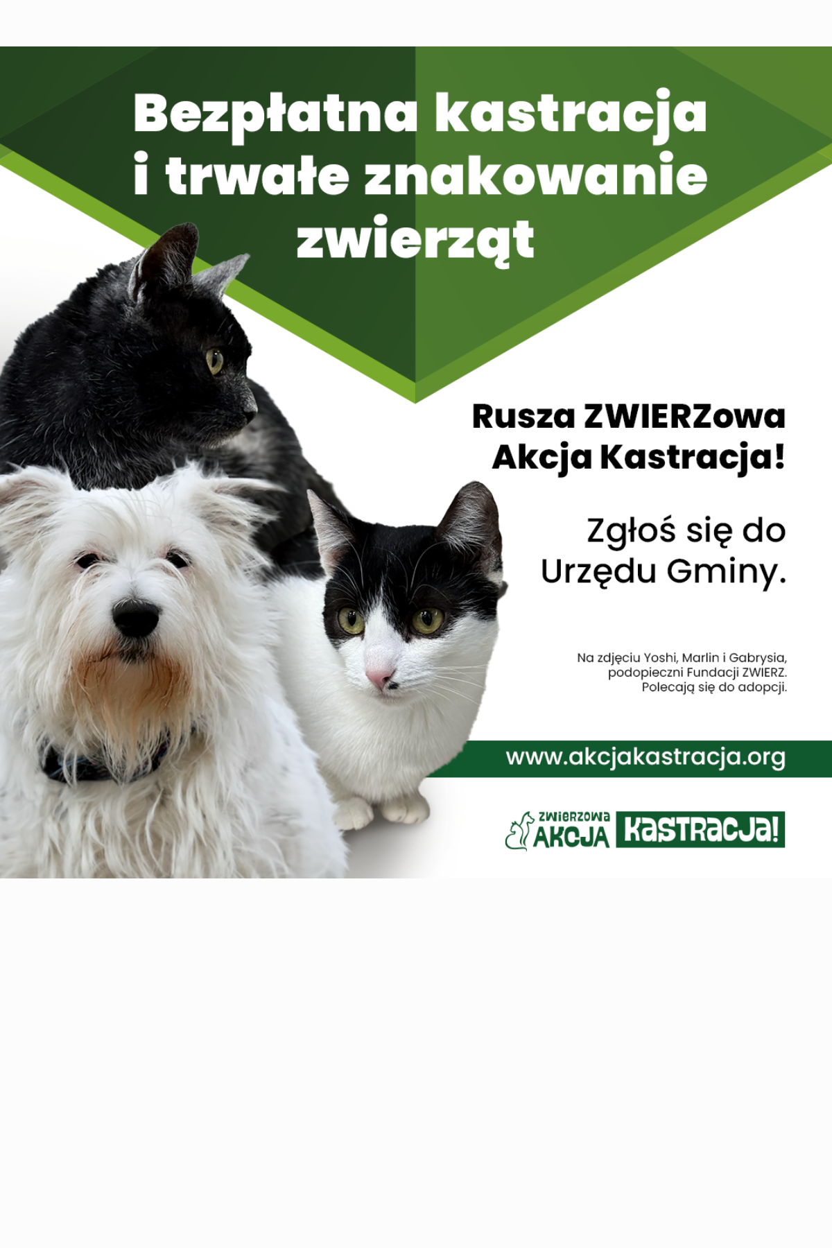 Zwierzowa Akcja Kastracja w Gminie Chełmża