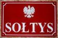 SOŁTYSKI Z GMINY GÓRĄ