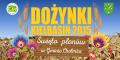 DOŻYNKI W GMINIE